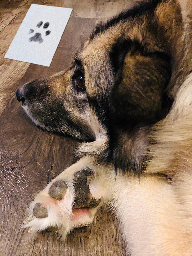 Commemorative Photo Album For Children And Pets Fingerprint Rubbing Postcard DIY Pet Supplies